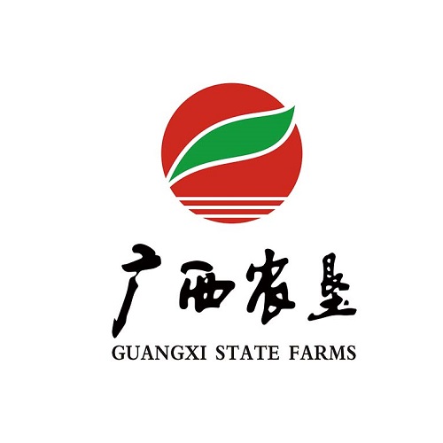 廣西國(guó)控資本運(yùn)營(yíng)集團(tuán)有限責(zé)任公司